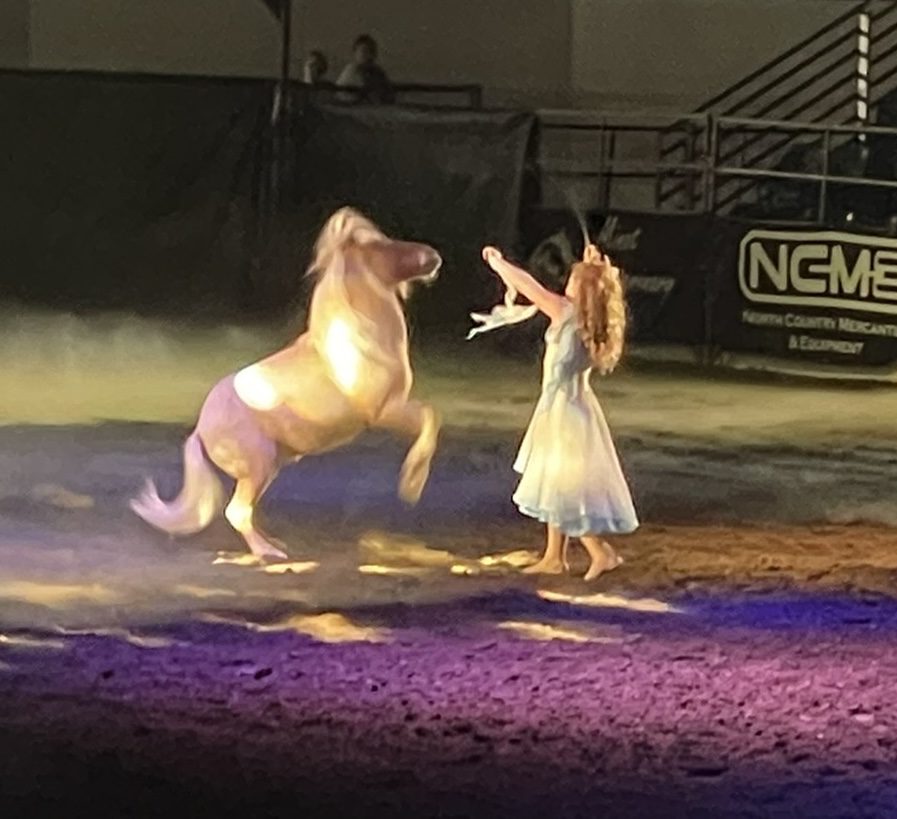Horse Expo Arrives Galloping, Leaves Crowds Enlightened - The Dakotan