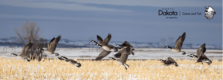 More Fishing Information  North Dakota Game and Fish