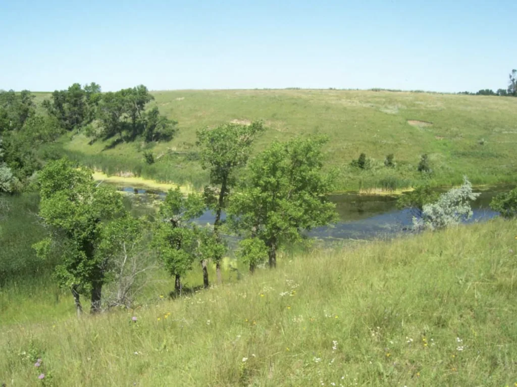 Small lake in a coulee beside the battlefield. Photo by L. Barkwell, 2011.
